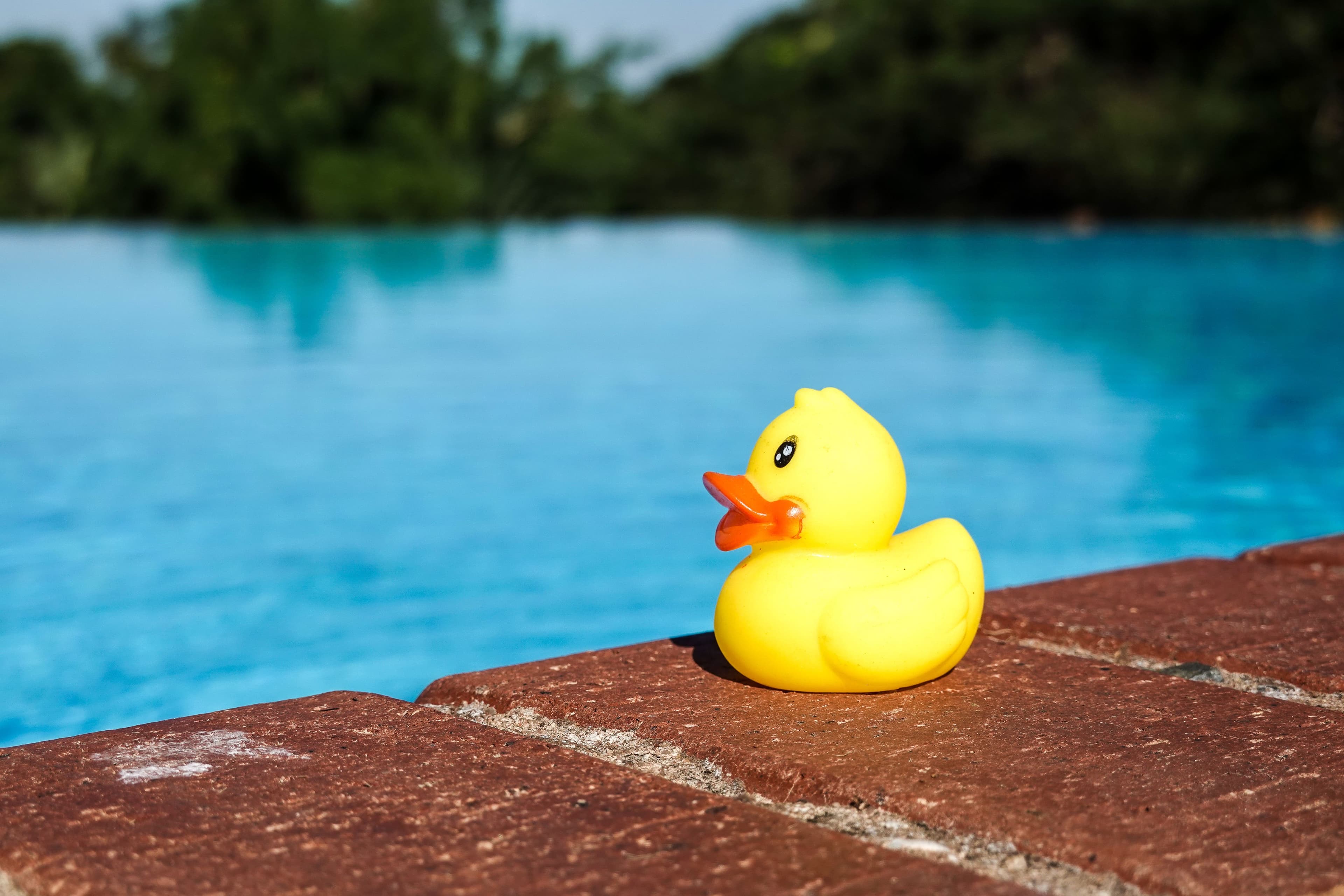 Eine Badeente am Poolrand: harmloses Urlaubssymbol oder Sinnbild für den Ferieneffekt?